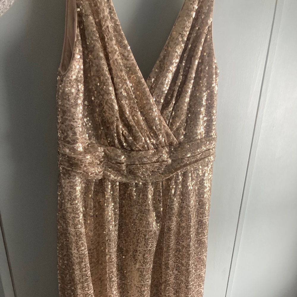 David’s Bridal Sequin Dress